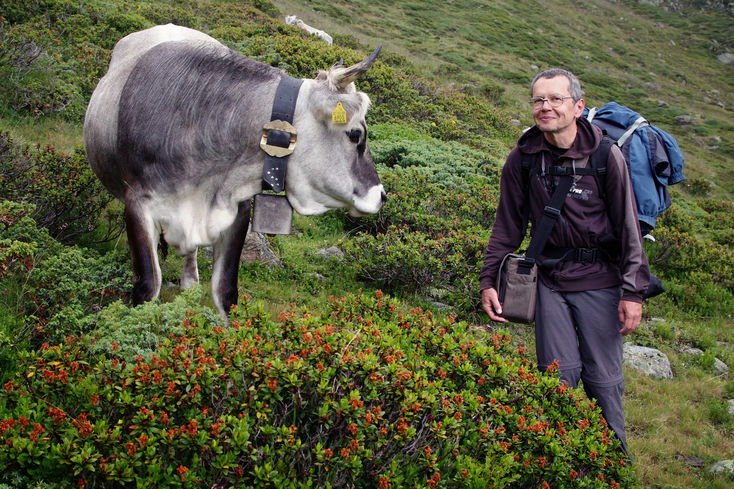 A jako vdy zvren krva