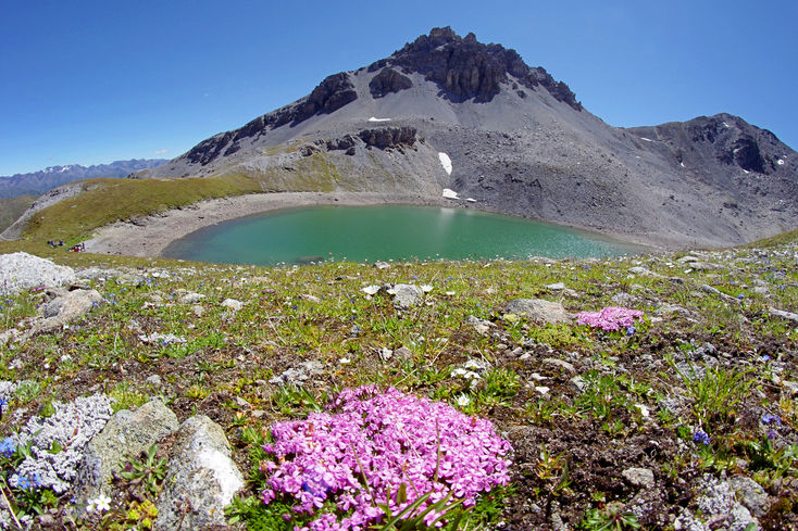 Kytiky a hora nad jezerem