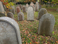  Židovský hřbitov