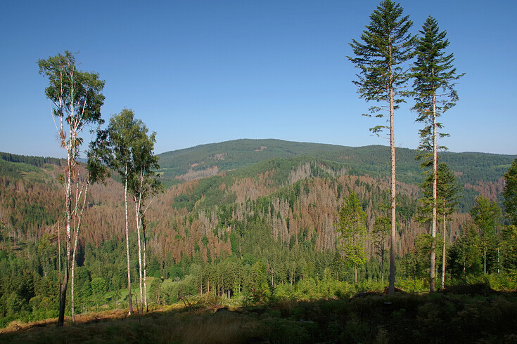 Cestou ze Svojše do Čeňkovy Pily