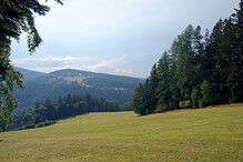 Louka nad Jelenovem