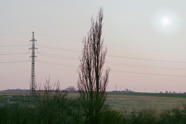Fotografie na téma obrazu elektrického vedení a stromů