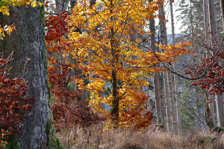 Pozim u vrcholu Stožce