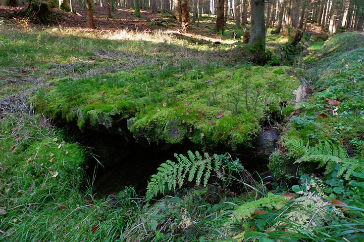 Most přes Schwarzenberský kanál