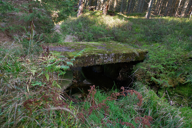 Most přes Schwarzenberský kanál