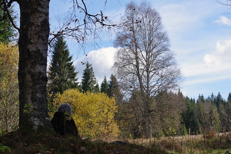 Malování v Novém Údolí