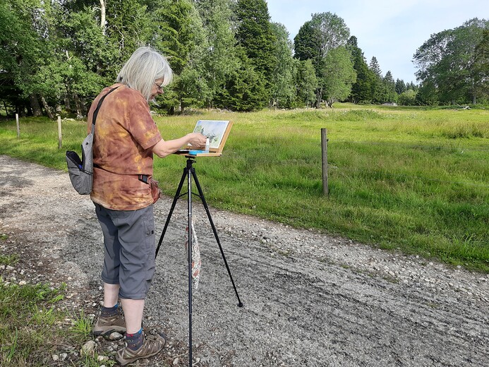 Malování louky u Mauritzů na Šumavě