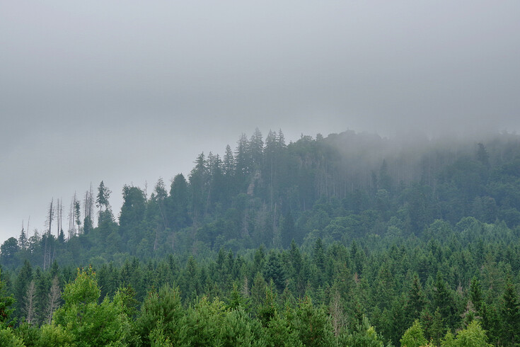 Stožecká skála v mlze