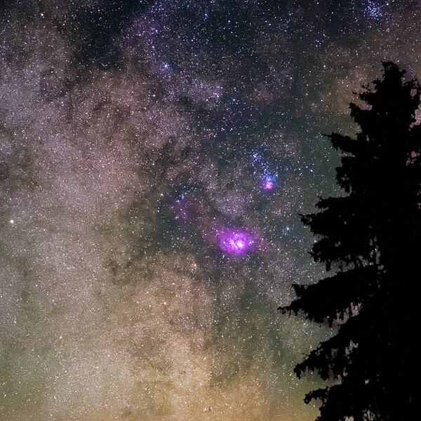 Mlhoviny Laguna a Trifid zapadají za strom