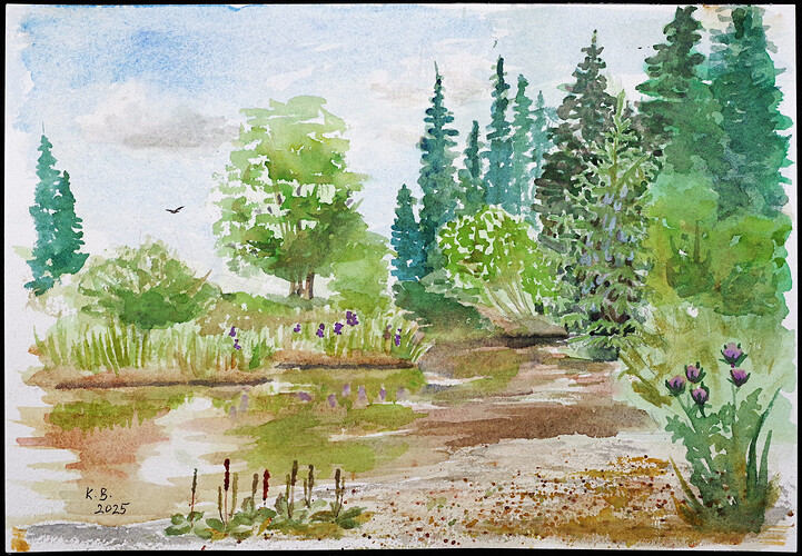 Obrázek Studené Vltavy