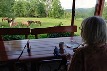 Malování koňů po snídani