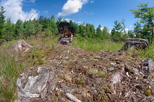 Pod deštníkem slunečníkem