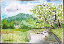 Obrázek Teplé Vltavy