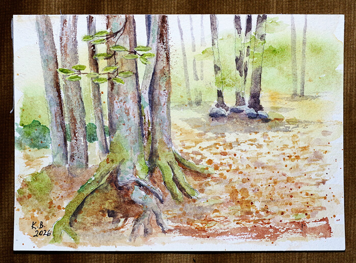Šumava les