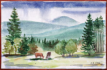 Šumava Stožec