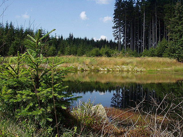 Vka (piblin uprosted)