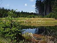 Vka (piblin uprosted)