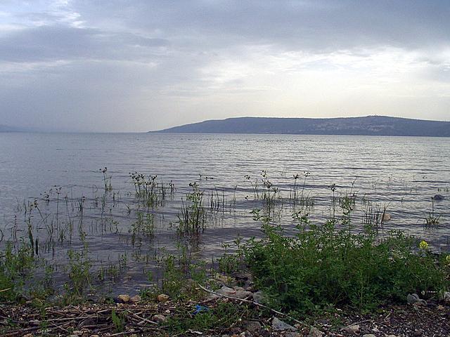 Kinneret