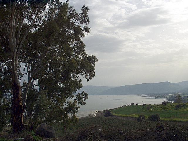 Kinneret