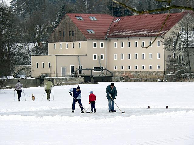 Bruslen na ledu