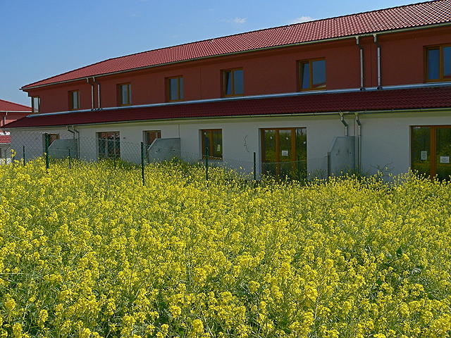 Na zahrdce se u urodilo
