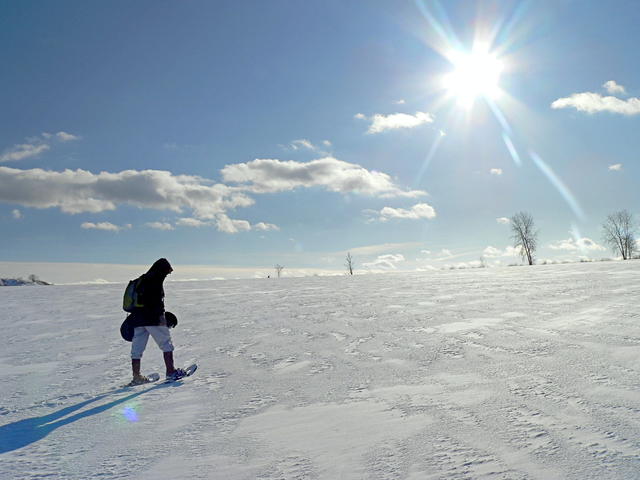 Slunko svtilo