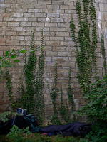 Under the viaduct