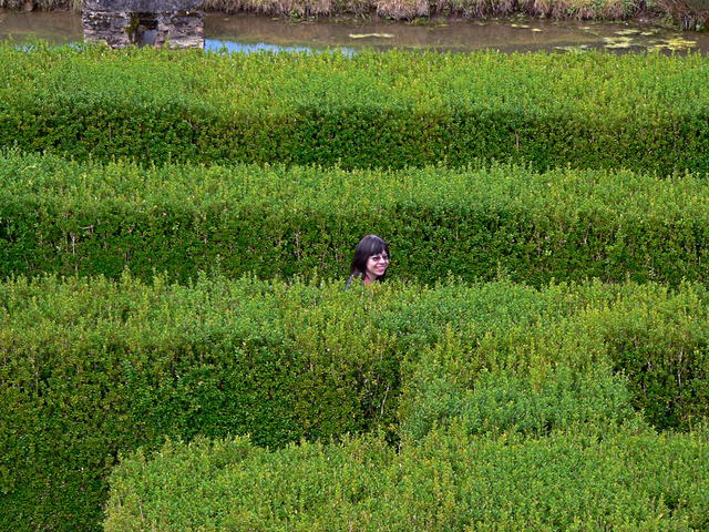 In the maze