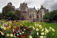 Katedrla Notre-Dame