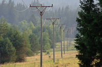 umavsk elektina