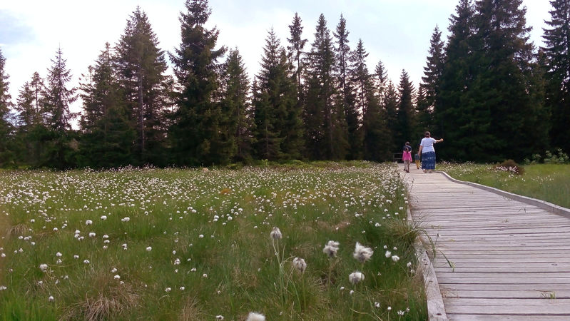 Prohldka raelinit u Boho Daru