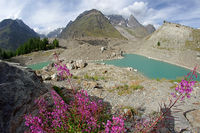 Lago di Miage