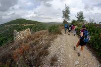 Cesta bom do Ein Karem