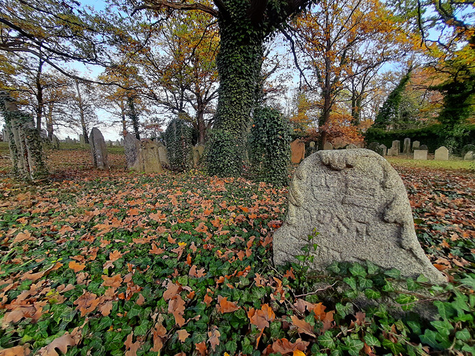  Židovský hřbitov