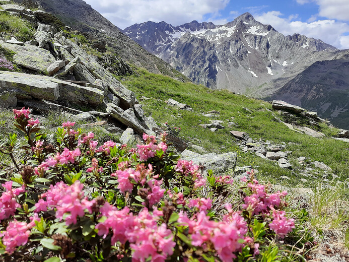 Pohled na horu Lagaunspitze