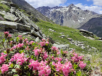 Pohled na horu Lagaunspitze