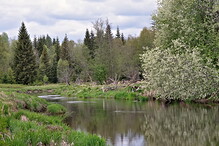 Vltava