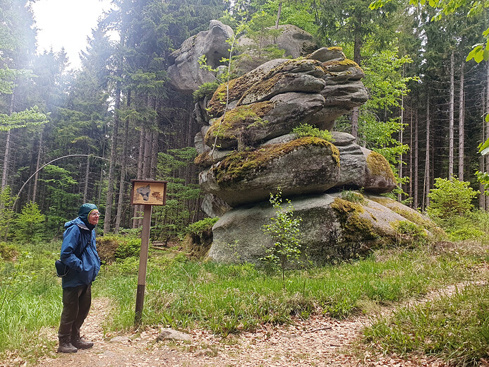 Hlava telete na Medvědí stezce