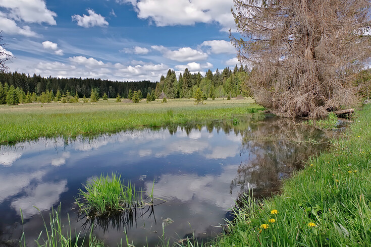 Bobří jezero