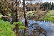 Bobří jezero