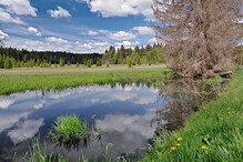 Bobří jezero