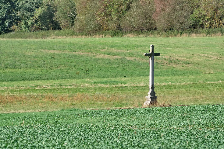 Křížek