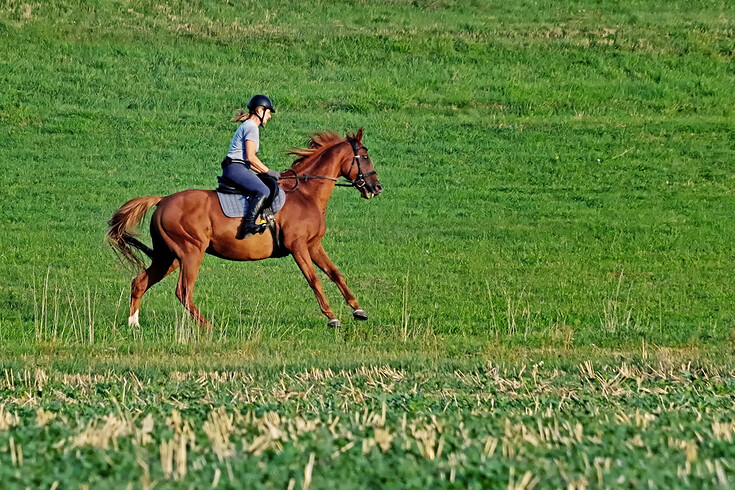 Jízda na koni