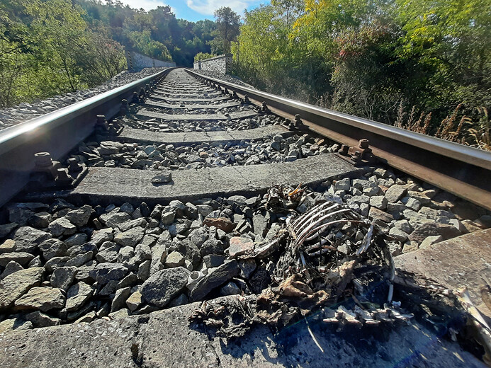 Na viaduktu u Okoře