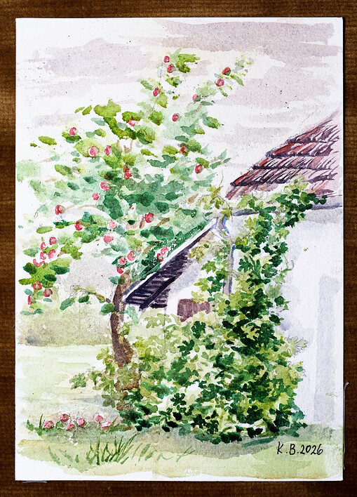 Bačkovice