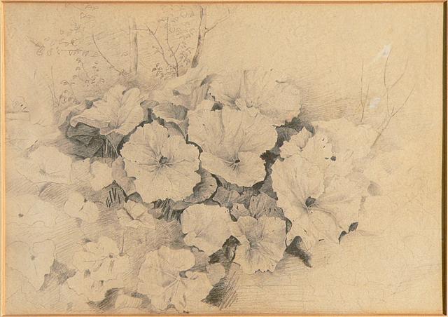 Mak 35 cm x 24 cm